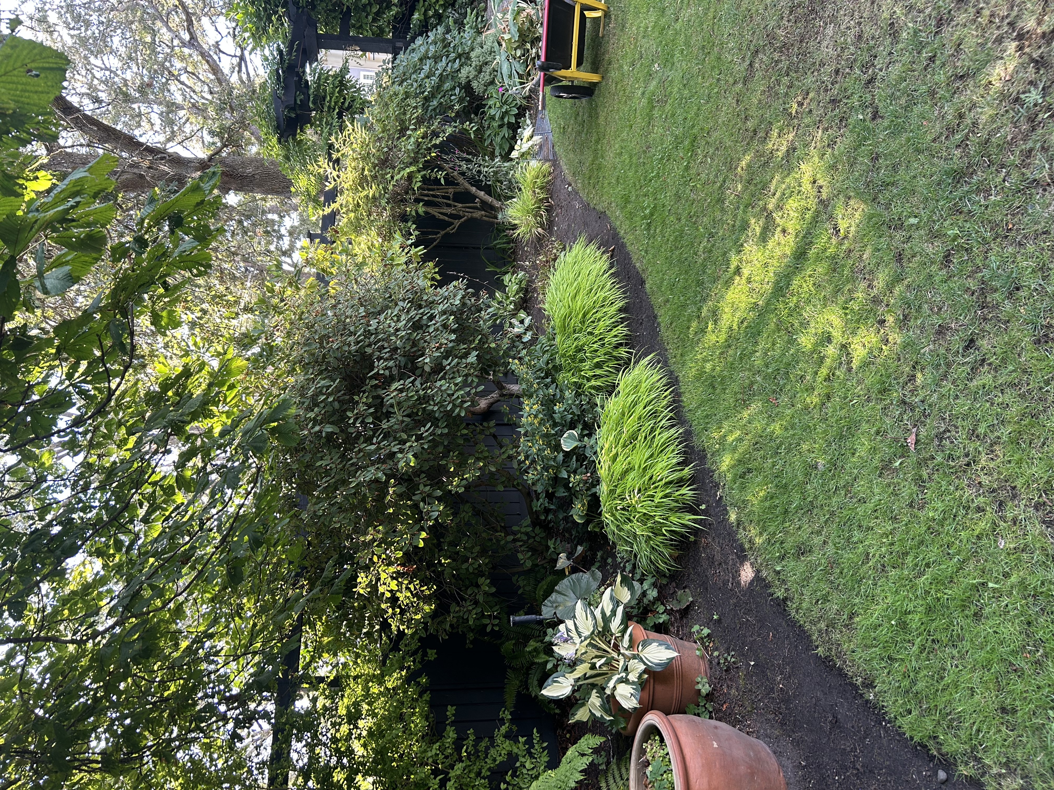 Lawn edging